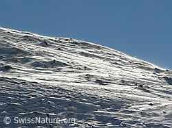 F032963: Schneeverwehungen am Böli