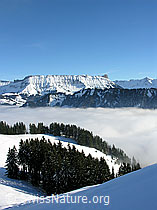 F033065: Wintelandschaft mit Nebelmeer und Schrattenfluh