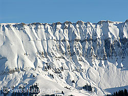 F033072: Gefurchte, verschneite Felswand