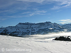 F033082: Wachthubel, Schangnau: Hohgant und Nebelmeer
