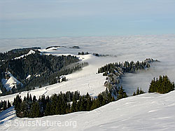 F033086: Wachthubel: Rämisgummen mit Nebelgrenze