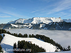 F033096: Wachthubel, Emmental: Nebelmeer und verschneite Schrattenfluh