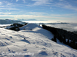 F033099: Wachthubel: Nebelmeer und verschneite Hügel des Emmentals
