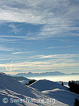 F033105: Neblmeer zwischen Emmentaler Hügeln und Stockhornkette