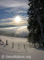 F033128: Rämisgummen, Eggiwil, Emmental