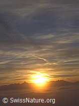 F033144: Sonnenuntergang hinter Stockhornkette mit Nebelmeer