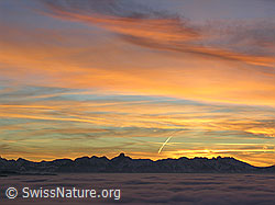 F033158: Berner Voralpen mit Nebelmeer und Abendrot