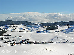 F033185: Winterlandschaft Emmental