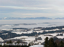 F033360: Vorderarni, Sumiswald, Emmental