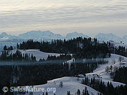 F033364: Vorderarni, Sumiswald, Emmental