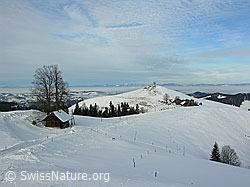 F033382: Vorderarni, Sumiswald, Emmental