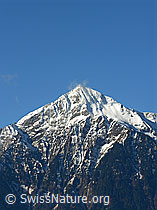 F034051: Stockhorn