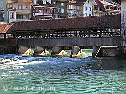 F034074: Thun: Wasserwehr