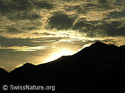 F035159: Abendstimmung über dem Brienzer Rothorn