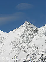 F035716: Dom