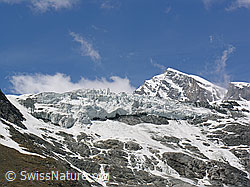 F035816: Allalingletscher und Allalinhorn