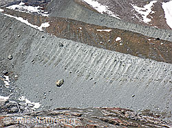 F035829: Vordere Allalinmoräne