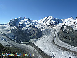 F036887: Monte Rosa, Liskamm und Castor