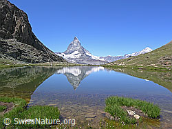 F036921: Matterhorn und Riffelsee