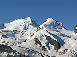 F036958: Castor und Pollux