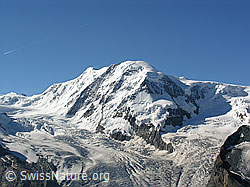 F036999: Liskamm und Grenzgletscher
