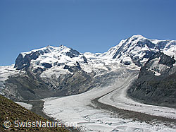 F037060: Nordend, Dufourspitze, Parrotspitze und Liskamm