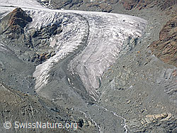 F037065: Gletscherzunge Theodulgletscher