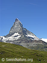 F037100: Matterhorn in grüner Landschaft