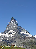 F037102: Matterhorn und Hütte
