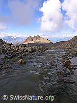F038136: Holzjihorn
