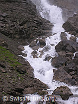 F038366: Engstligenbach, Adelboden, Berner Oberland
