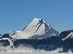F038408: Rinderhorn