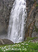 F038488: Engstligenfälle: Wasserfall und Blumenwiese