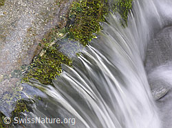 F038735: Fliessendes Wasser in der Emme