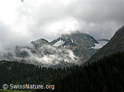 F039107: Licht und Schatten am Schwarzhorn