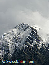 F039188: Schneefallgrenze am Eggerhorn