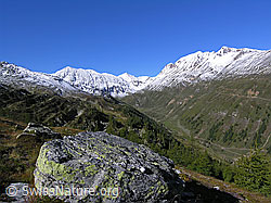 F039237: Saflischtal