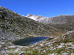F039273: Witentirsee