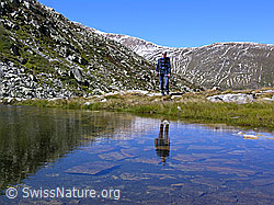 F039275: Witentirsee mit Spiegelung