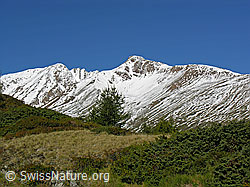 F039337: Bättlihorn und Pt. 2843