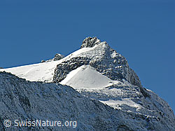 F039349: Hillegrat und Hillehorn