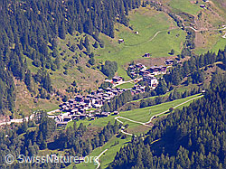 F039363: Binn