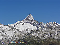 F039549: Südansicht Finsteraarhorn