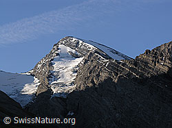 F039931: Rinderhorn in der Morgensonne