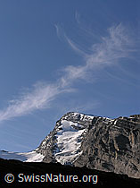 F039933: Rinderhorn in der Morgensonne