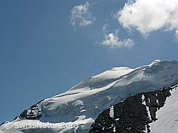 F039968: Balmhorn