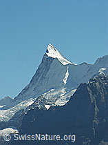 F040211: Finsteraarhorn