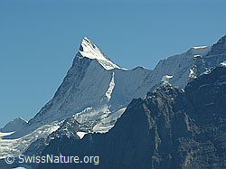 F040212: Finsteraarhorn und Finsteraargletscher