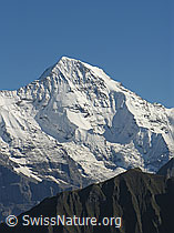 F040257: Mönch