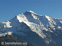 F040258: Jungfrau und Giesengletscher